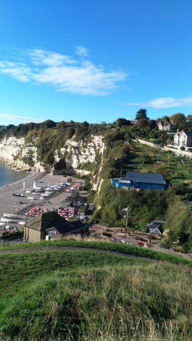 No. 27. A quiet dog friendly rural/coastal chalet Villa Seaton Esterno foto