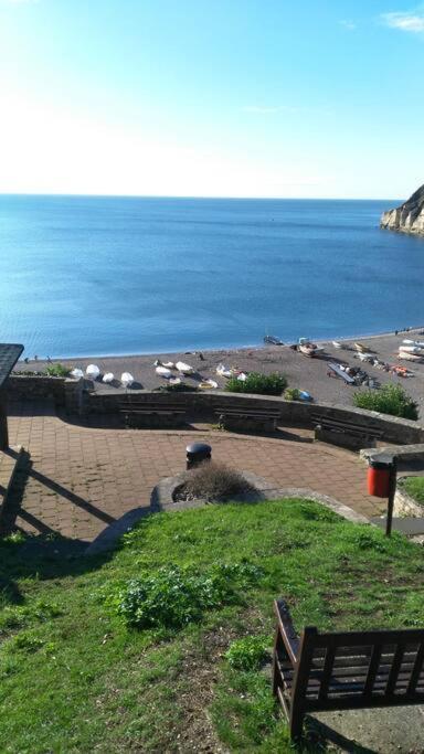 No. 27. A quiet dog friendly rural/coastal chalet Villa Seaton Esterno foto